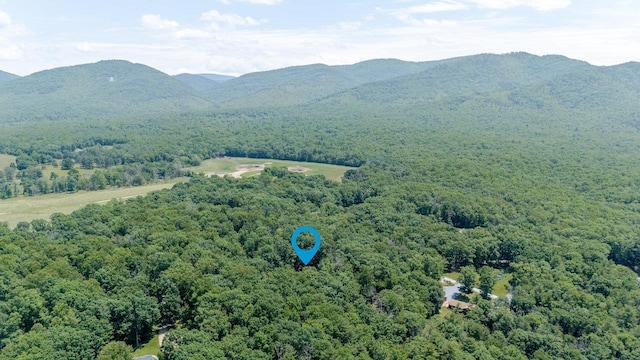 4201 Brown Mountain Ln, Elkton, VA 22827 - bird's eye view of a mountainous background