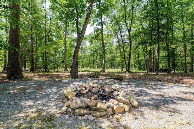 4201 Brown Mountain Ln, Elkton, VA 22827 - view of yard featuring an outdoor fire pit and a view of trees