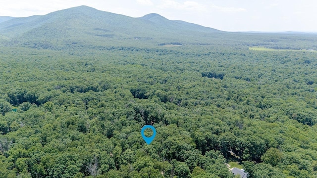 4201 Brown Mountain Ln, Elkton, VA 22827 - bird's eye view of a forest and a mountain backdrop