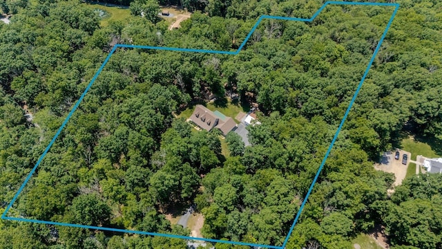 4201 Brown Mountain Ln, Elkton, VA 22827 - aerial view of property's location with property boundaries highlighted and a heavily wooded area
