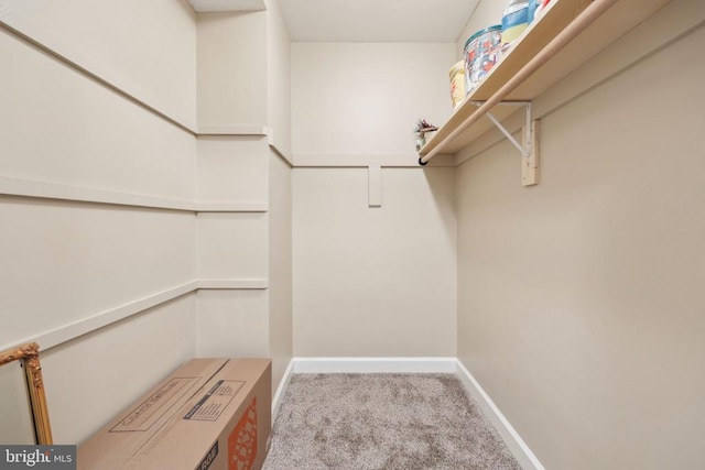 12011 Big Ben Blvd, Fredericksburg, VA 22407 - spacious closet with carpet flooring