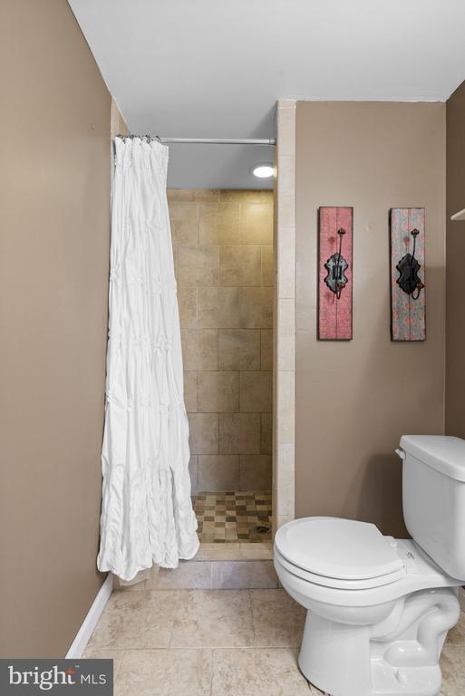 bathroom with toilet and a shower with curtain