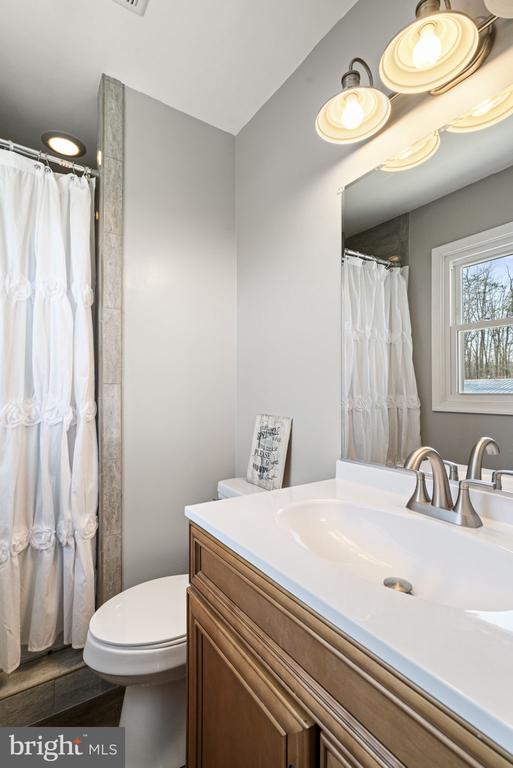 bathroom with wood-type flooring, toilet, and vanity