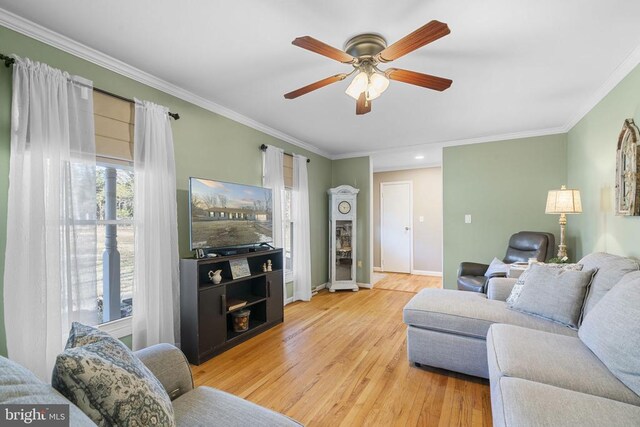 living room featuring crown molding, ceiling fan, and light wood-type flooring