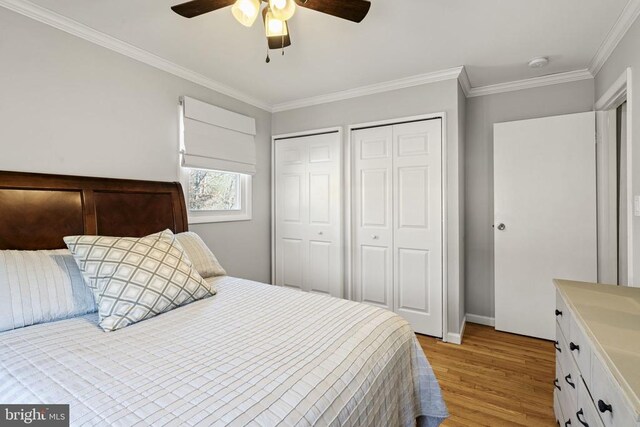 bedroom featuring ceiling fan, ornamental molding, light hardwood / wood-style floors, and two closets