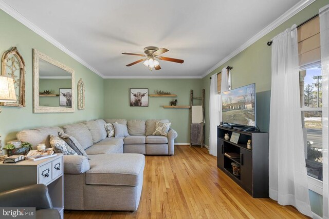 living room featuring ceiling fan, ornamental molding, and light hardwood / wood-style flooring