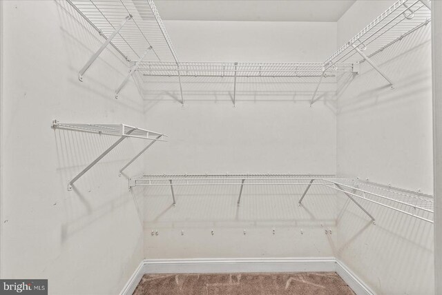 3409 Lakeview Pkwy, Locust Grove, VA 22508 - photo 26