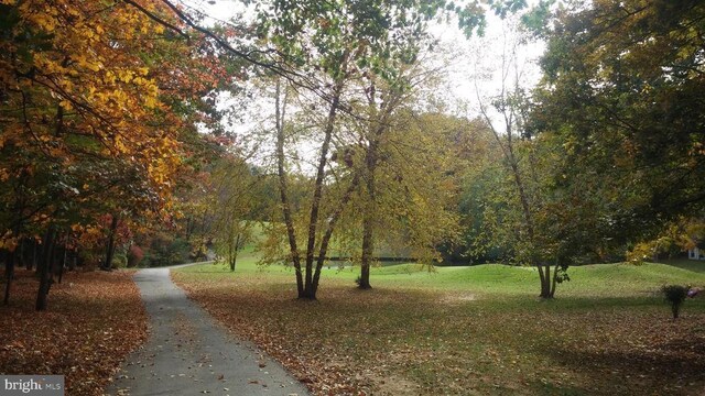 3409 Lakeview Pkwy, Locust Grove, VA 22508 - photo 14