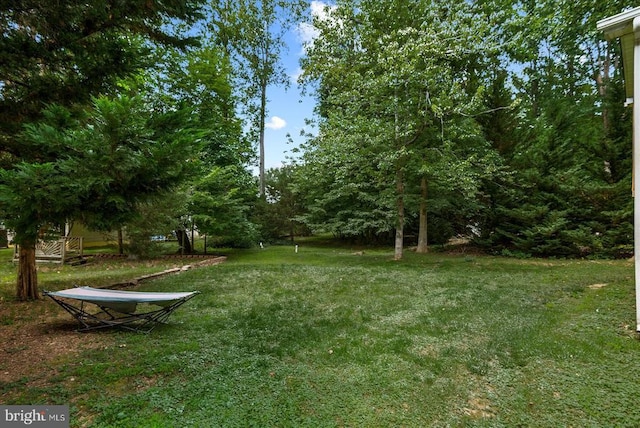 3409 Lakeview Pkwy, Locust Grove, VA 22508 - photo 54