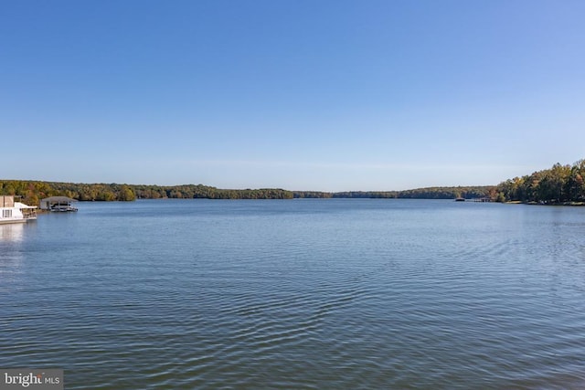 15105 Rose Valley Dr, Mineral, VA 23117 - photo 46