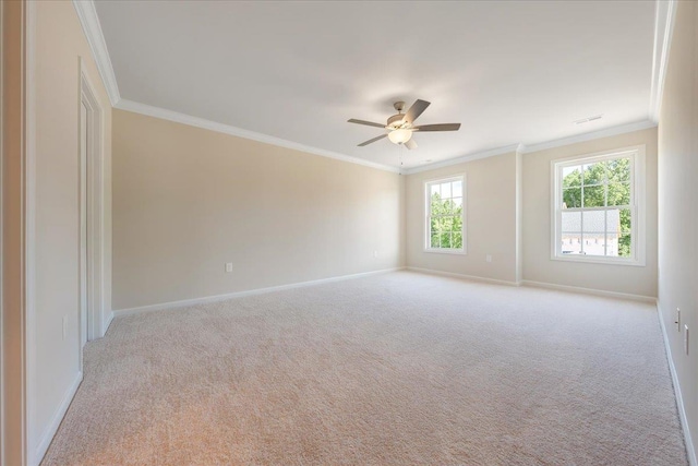 209 Wexford St, Staunton, VA 24401 - photo 11