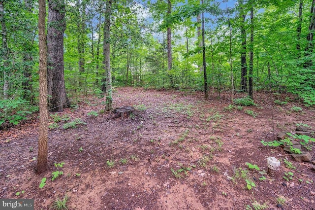 104 Birch Ct, Locust Grove, VA 22508 - photo 44