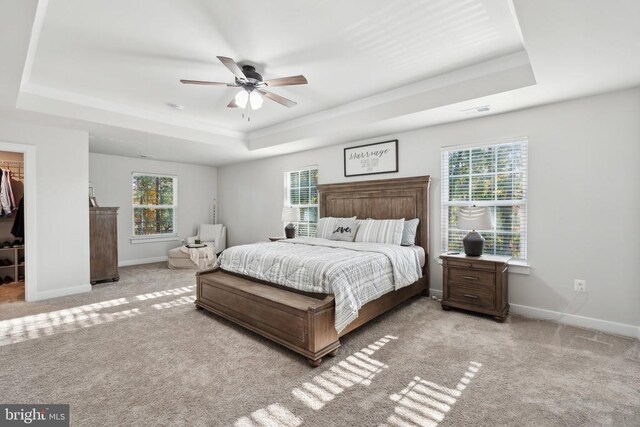 carpeted bedroom featuring a tray ceiling, a walk in closet, baseboards, and ceiling fan