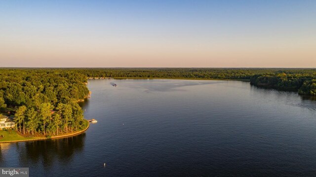 water view featuring a heavily wooded area