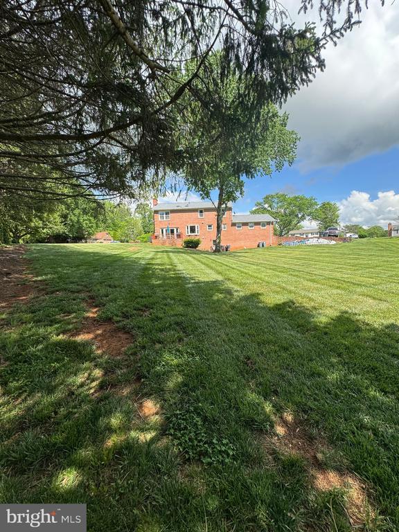 7880 Sir Topas Dr, Warrenton, VA 20186 - view of grassy yard
