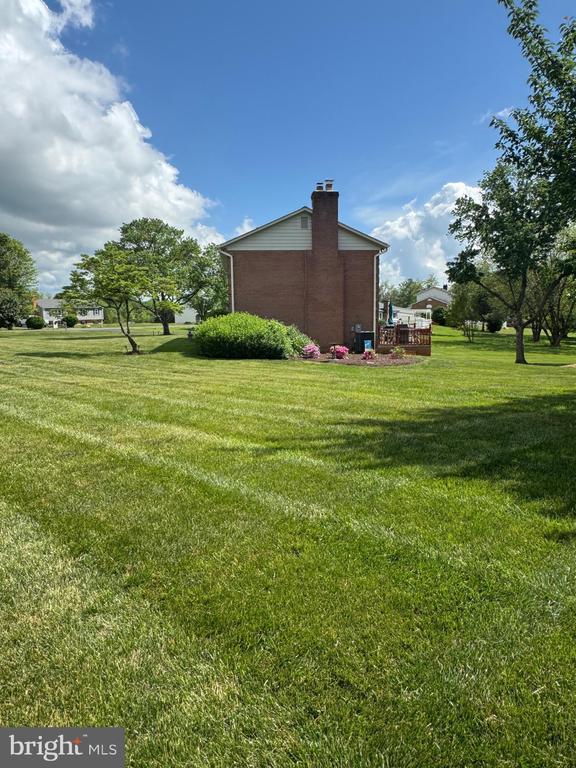 7880 Sir Topas Dr, Warrenton, VA 20186 - view of green lawn