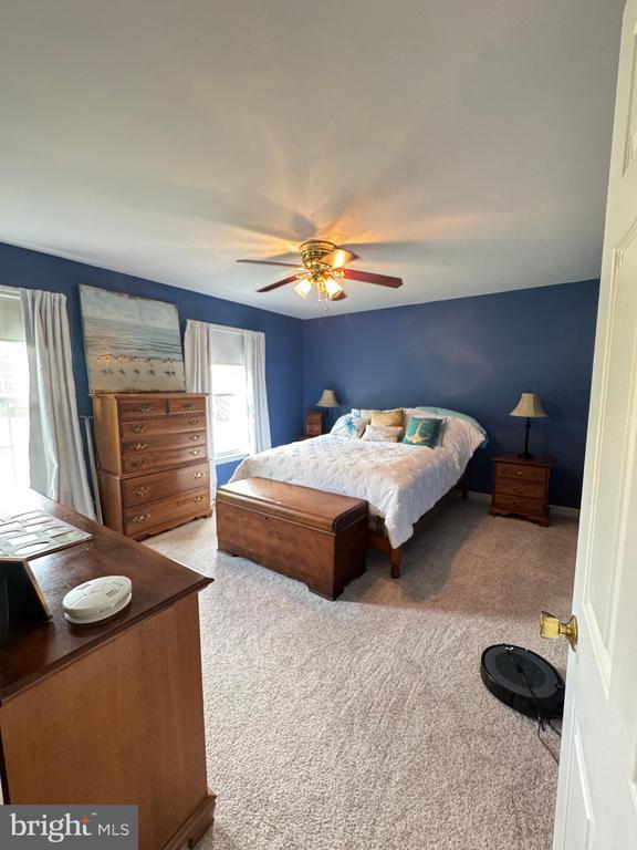 7880 Sir Topas Dr, Warrenton, VA 20186 - bedroom with carpet floors and ceiling fan