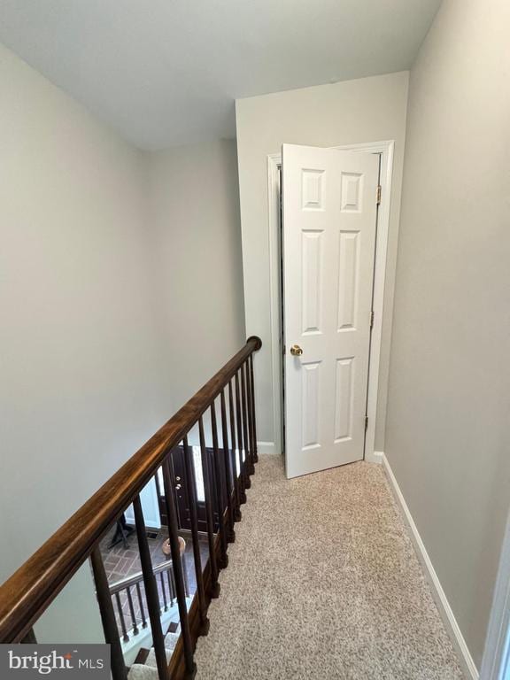 7880 Sir Topas Dr, Warrenton, VA 20186 - stairs featuring carpet and baseboards