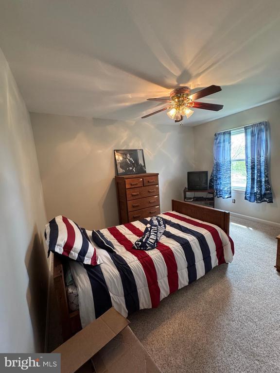 7880 Sir Topas Dr, Warrenton, VA 20186 - bedroom with carpet floors and ceiling fan