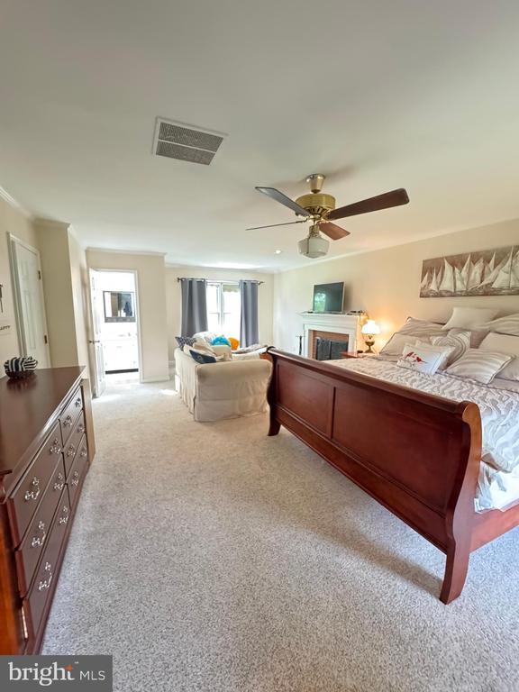 7880 Sir Topas Dr, Warrenton, VA 20186 - bedroom with light carpet, a fireplace, crown molding, and ceiling fan