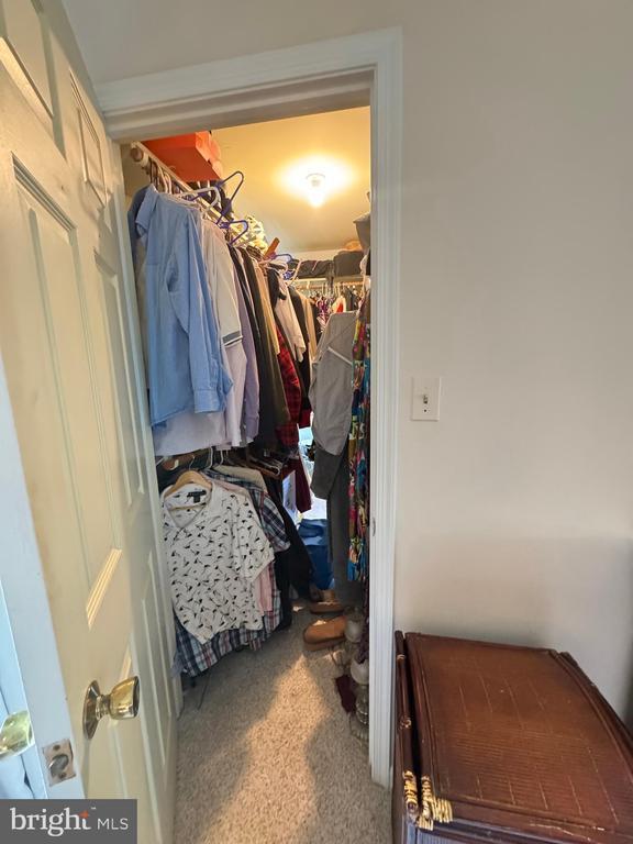 7880 Sir Topas Dr, Warrenton, VA 20186 - view of spacious closet