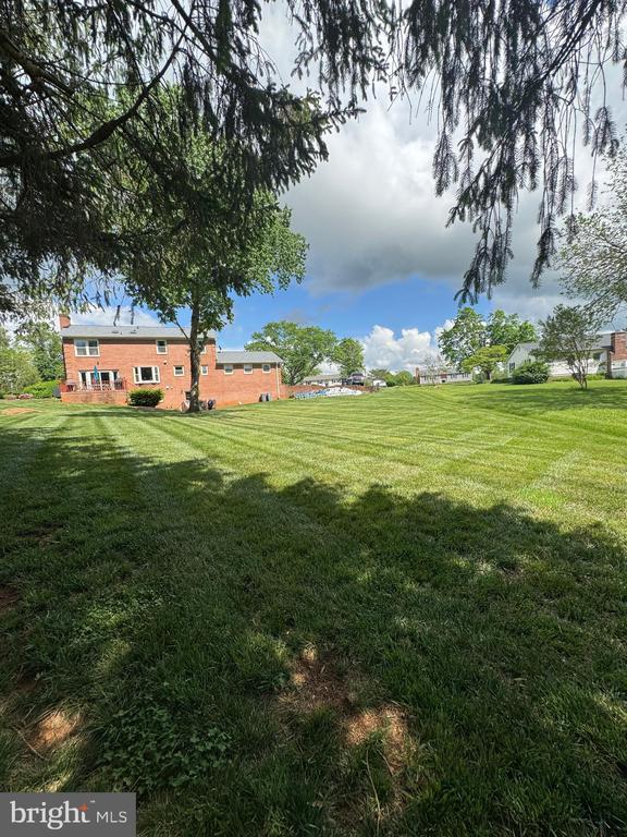 7880 Sir Topas Dr, Warrenton, VA 20186 - view of grassy yard
