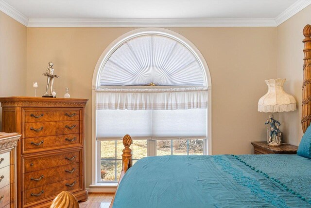102 Shawn Cir, Staunton, VA 24401 - bedroom with crown molding and light wood-style flooring