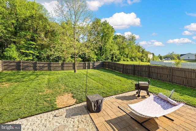 view of yard with a fenced backyard and a patio