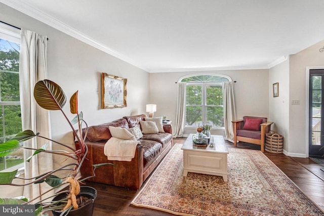 10101 Westover Ct, Fredericksburg, VA 22408 - living area with dark wood-style floors, plenty of natural light, and ornamental molding