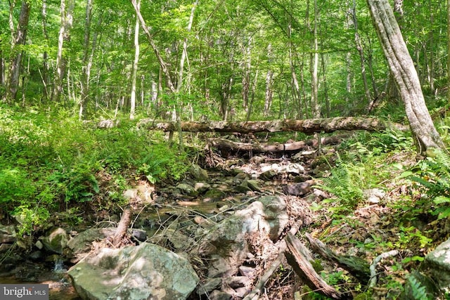  - view of wooded area