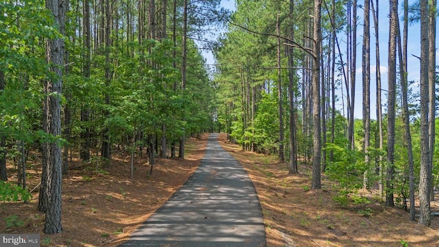 362 Dell Perkins Rd, Louisa, VA 23093 - view of property's community featuring driveway