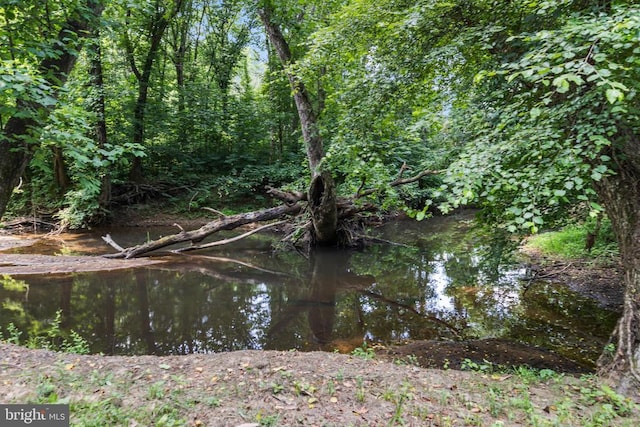 362 Dell Perkins Rd, Louisa, VA 23093 - water view