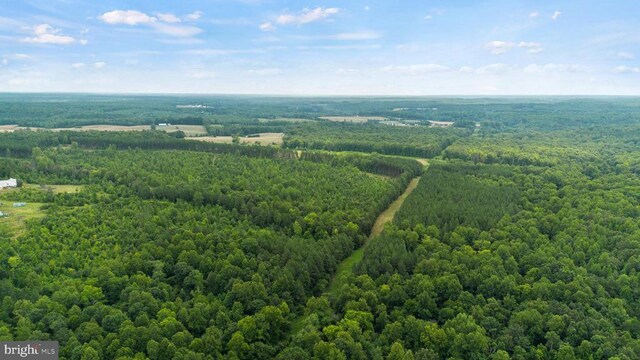 362 Dell Perkins Rd, Louisa, VA 23093 - drone / aerial view of a heavily wooded area