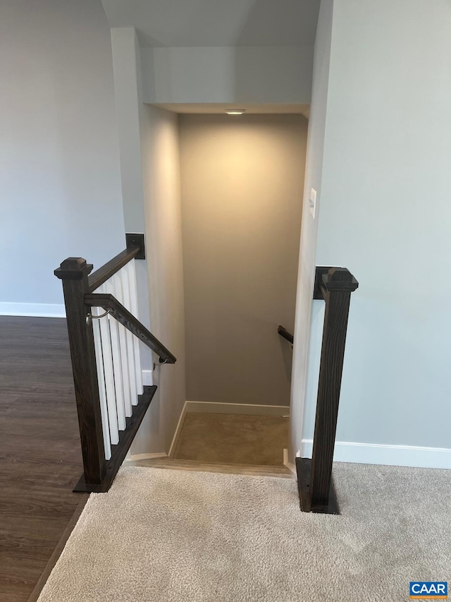 stairway with baseboards and carpet