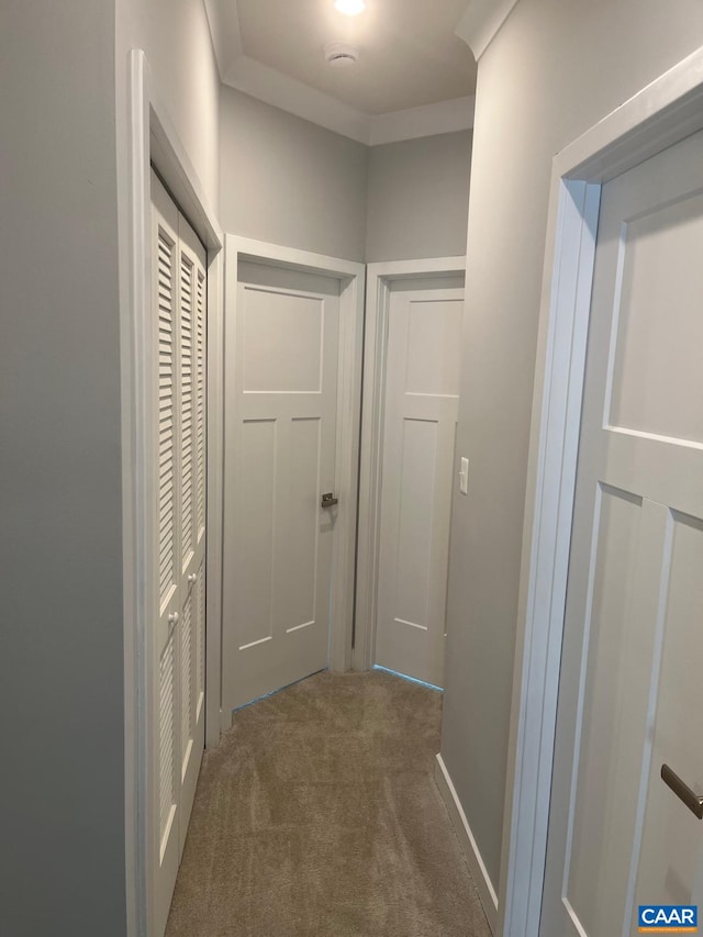 hall with ornamental molding and dark carpet