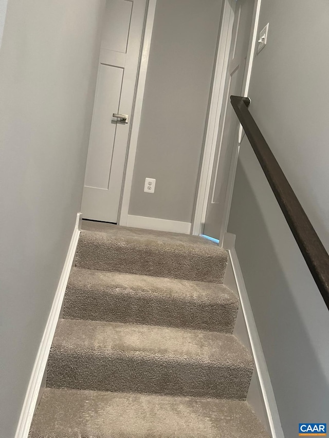 stairway featuring carpet floors