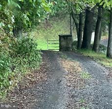 view of road featuring driveway