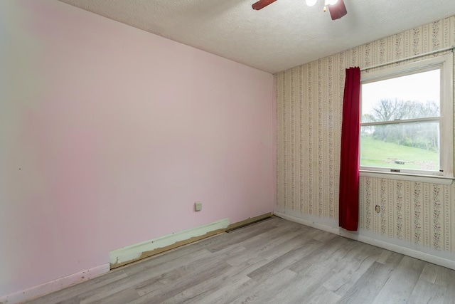 1627 Barbershop Rd, Edinburg, VA 22824 - spare room with a textured ceiling, light wood finished floors, a ceiling fan, baseboards, and wallpapered walls