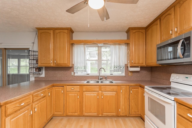 1627 Barbershop Rd, Edinburg, VA 22824 - kitchen with stainless steel microwave, a sink, a textured ceiling, ceiling fan, and white electric stove