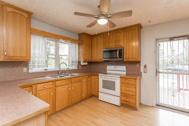 1627 Barbershop Rd, Edinburg, VA 22824 - kitchen featuring white range with electric stovetop, stainless steel microwave, light wood-style flooring, and a sink