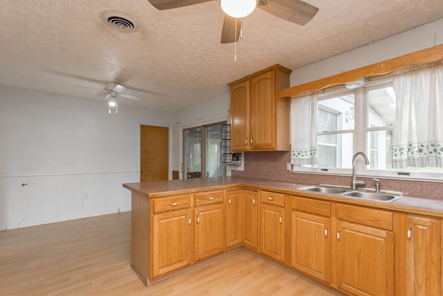 1627 Barbershop Rd, Edinburg, VA 22824 - kitchen featuring a sink, light wood finished floors, a textured ceiling, and a ceiling fan