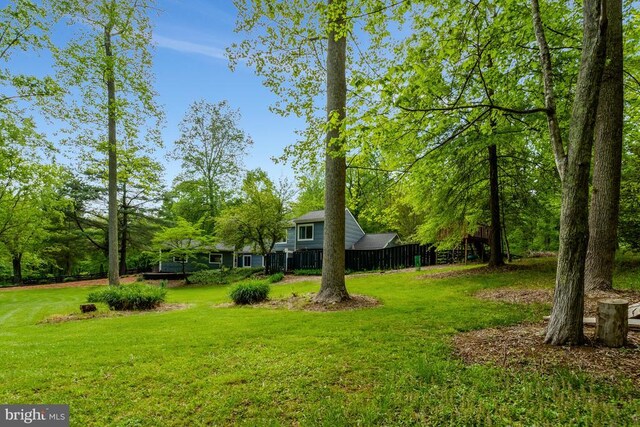  - view of yard