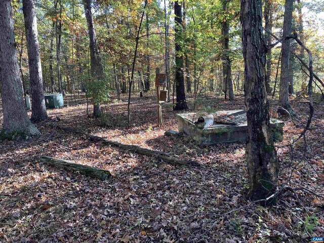 0 Dickerson Rd, Va, VA 22911