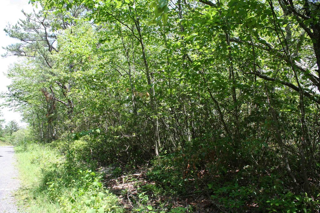 42 High Valley S, Monterey, VA 24465