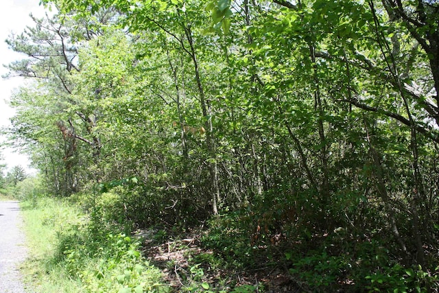 42 High Valley S, Monterey, VA 24465