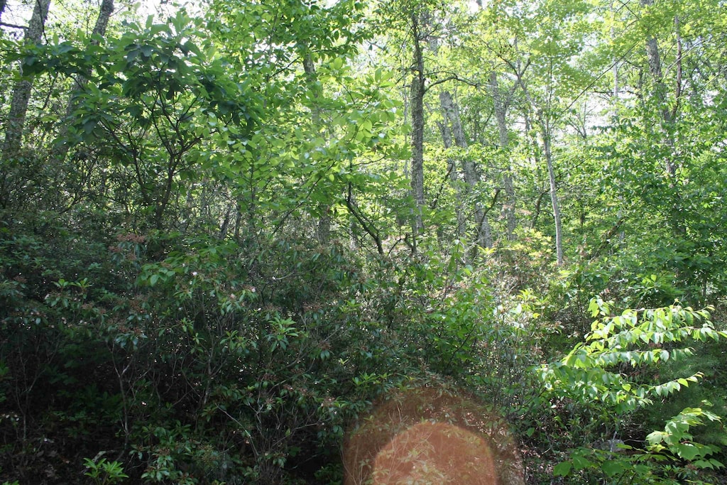 42 High Valley S, Monterey, VA 24465