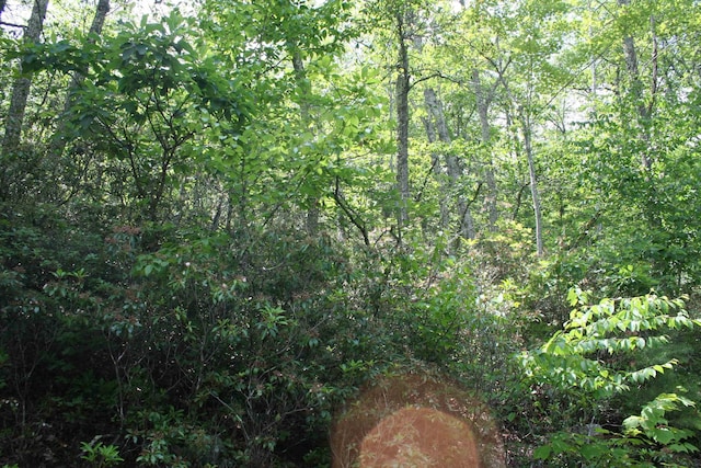 42 High Valley S, Monterey, VA 24465