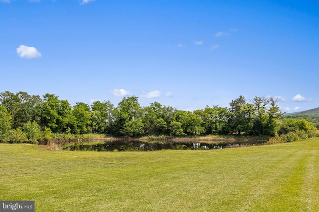 278 Wynngate Dr, Luray, VA 22835 - photo 53