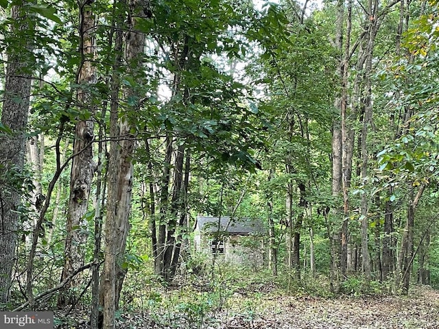 view of woods