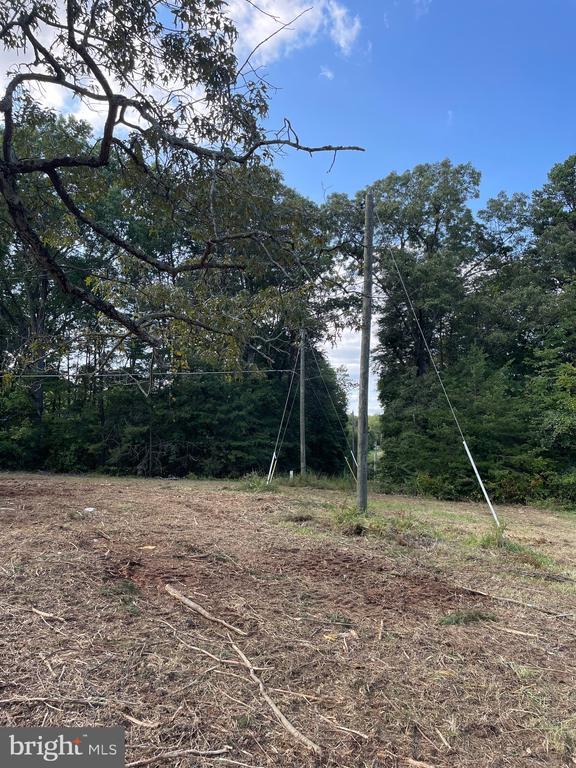 view of undeveloped land